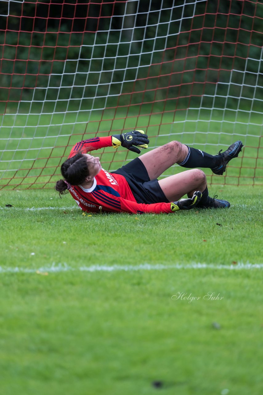 Bild 71 - F SG Daenisch Muessen - SG Blau-Rot Holstein : Ergebnis: 3:1